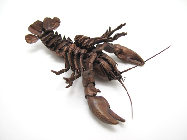自在置物標本箱 ニホンザリガニ＜オス＞
