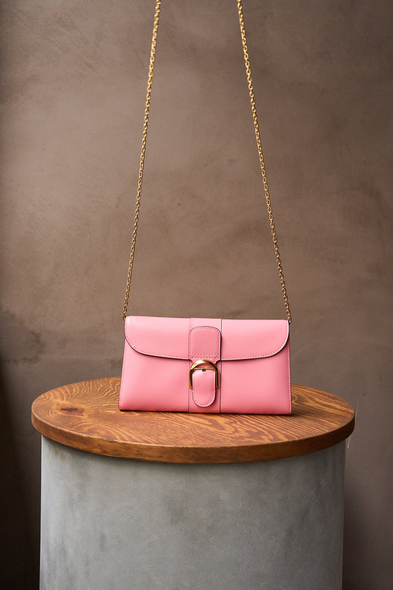 Delvaux Brillant Pink Long Wallet On Chain