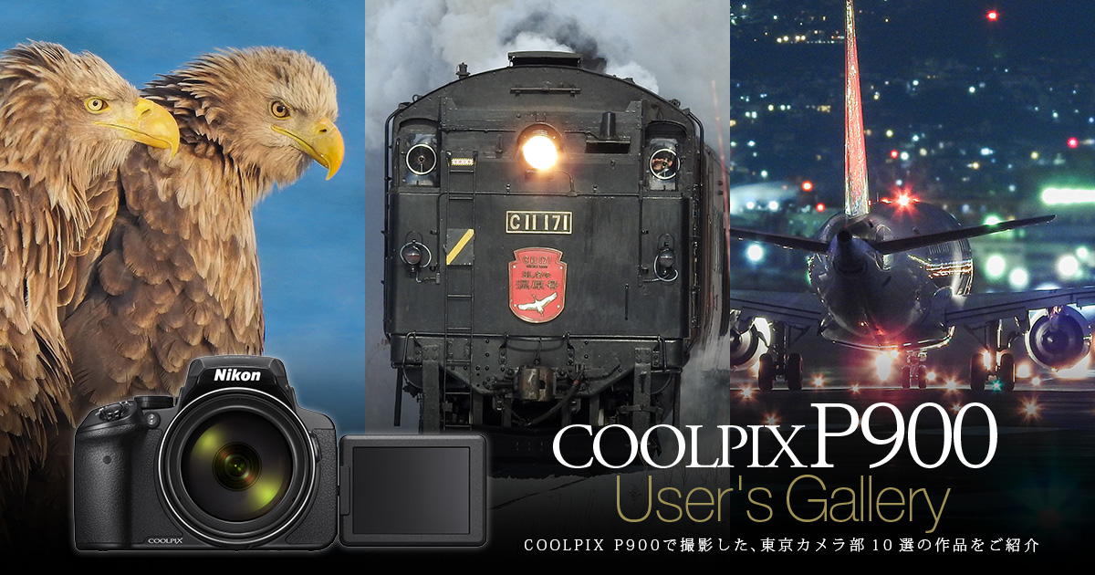 2000mm相当、光学83倍の超望遠ズームで未体験の領域へ。COOLPIX P900