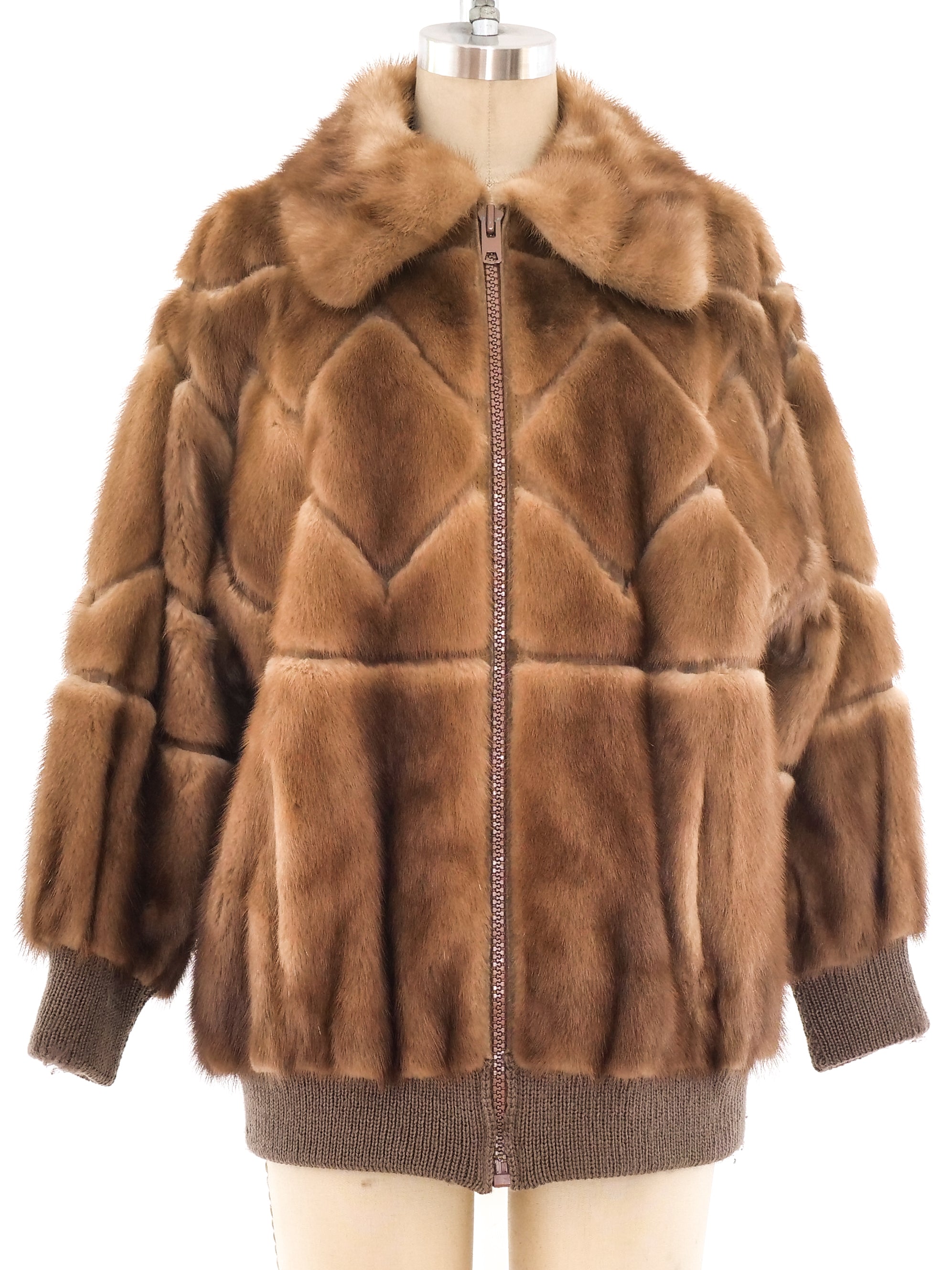 Ziggy_Virtual_Madeline_11-26-