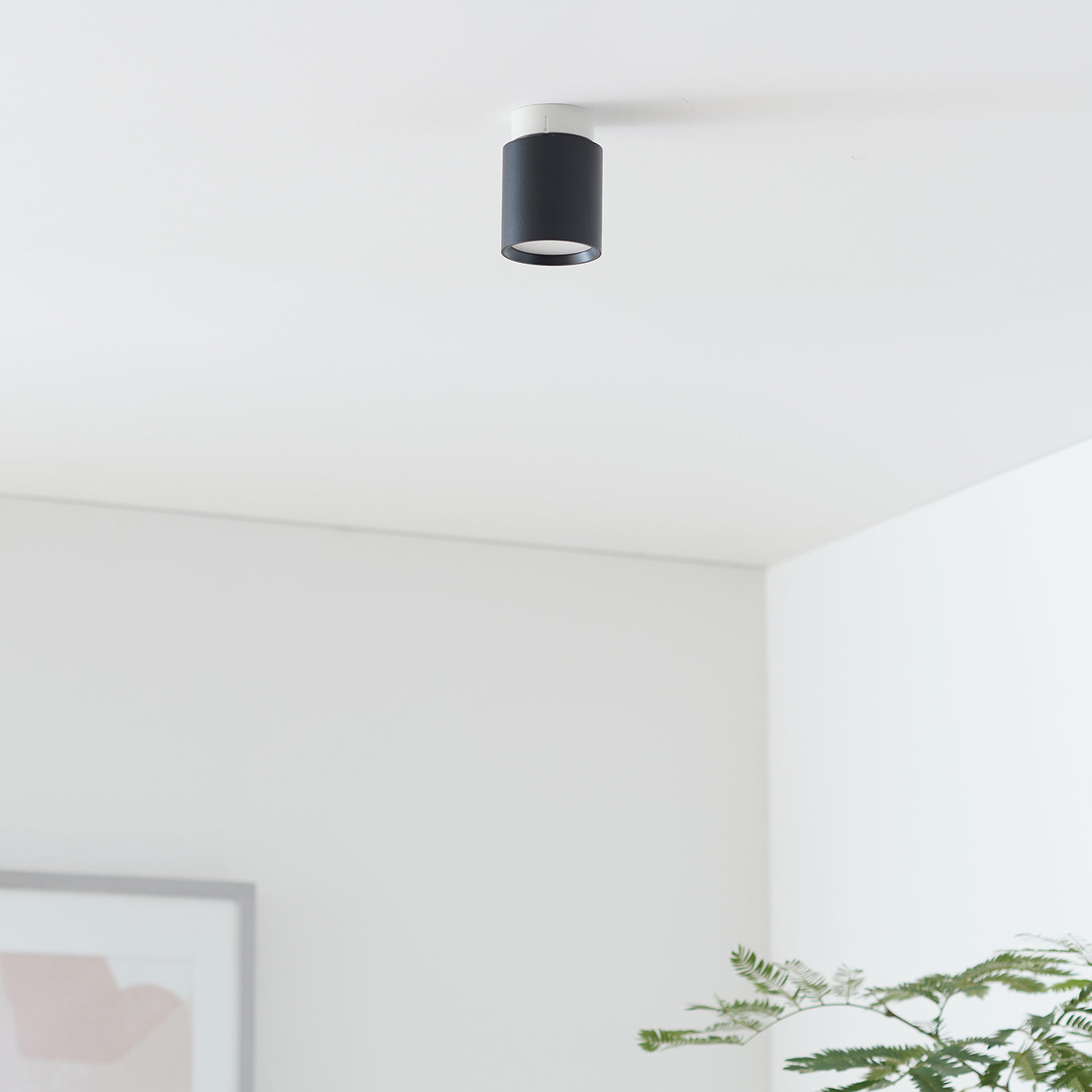 Grid-ceiling down light｜ARTWORKSTUDIO公式