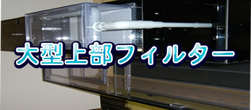 アクリル水槽、オーバーフロー水槽の通販・販売｜アクリル水槽.net