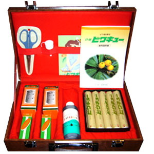 ビワキューご家庭で簡単にできるビワ葉温熱療法です。有煙 煙のでる