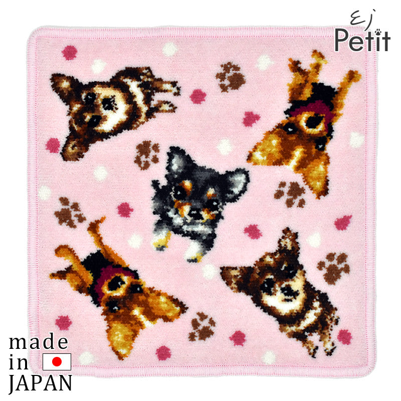 日本製 犬猫柄 チワワ 23cm 綿100% ハンカチ タオルハンカチ – 公式