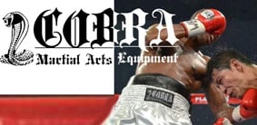 GRIT CUSTOM MADE JAPAN SAMURAI BOXING GLOVE 2503 ボクシング