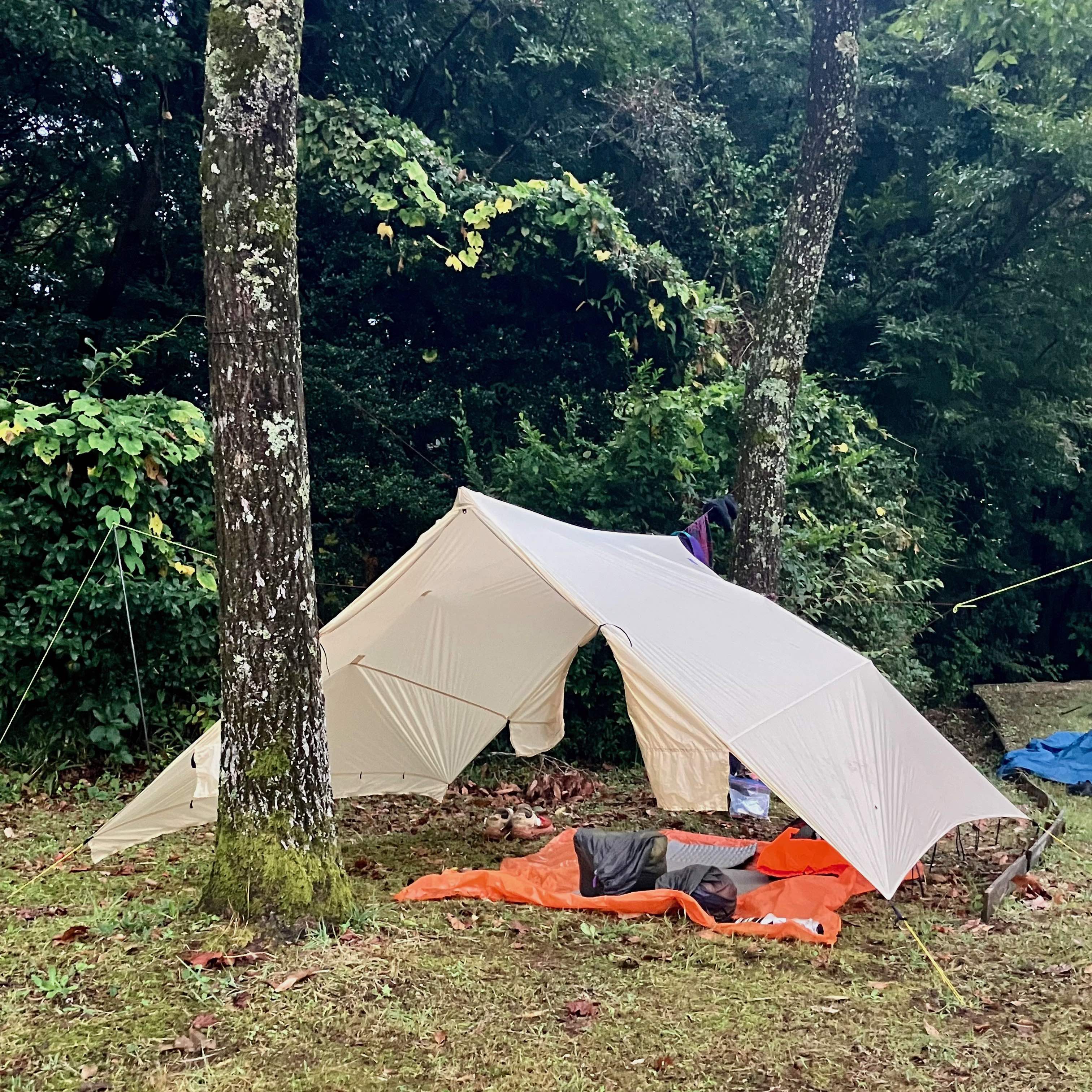 Finetrack ツェルトⅡロングの多彩な設営バリエーション－Hiker's