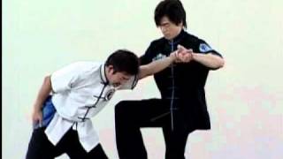 天行健中国武術館DVD武術篇より宮平保先生の擒拿術 - YouTube