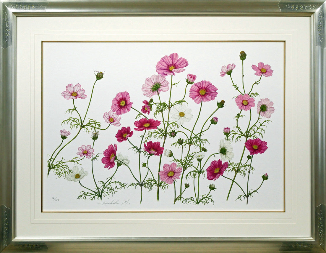 安藤牧子「コスモス（Botanical Art）」版画・10号大 絵画買取・販売の