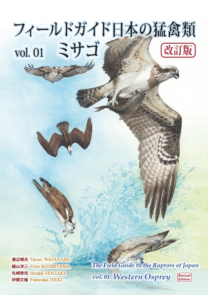 フィールドガイド日本の猛禽類