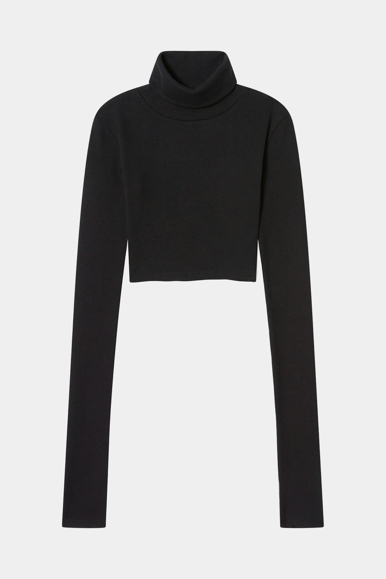 Neo Fitted Cropped Turtle Neck Black