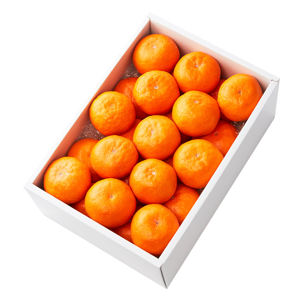 みかん】セラミック 透明紙 4000粒 +10%増量 清見 - 上野果樹園