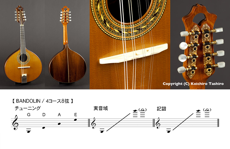 世界の民族楽器