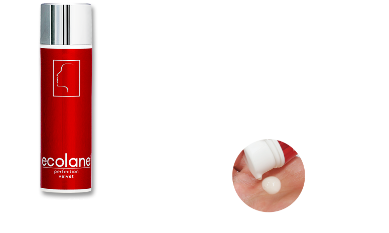 エコレーヌ パーフェクションベルベット【ベリタス販売株式会社】