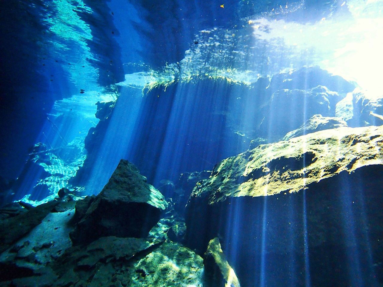 セノーテとは？ | WaterSportsCancun Cenote Diving