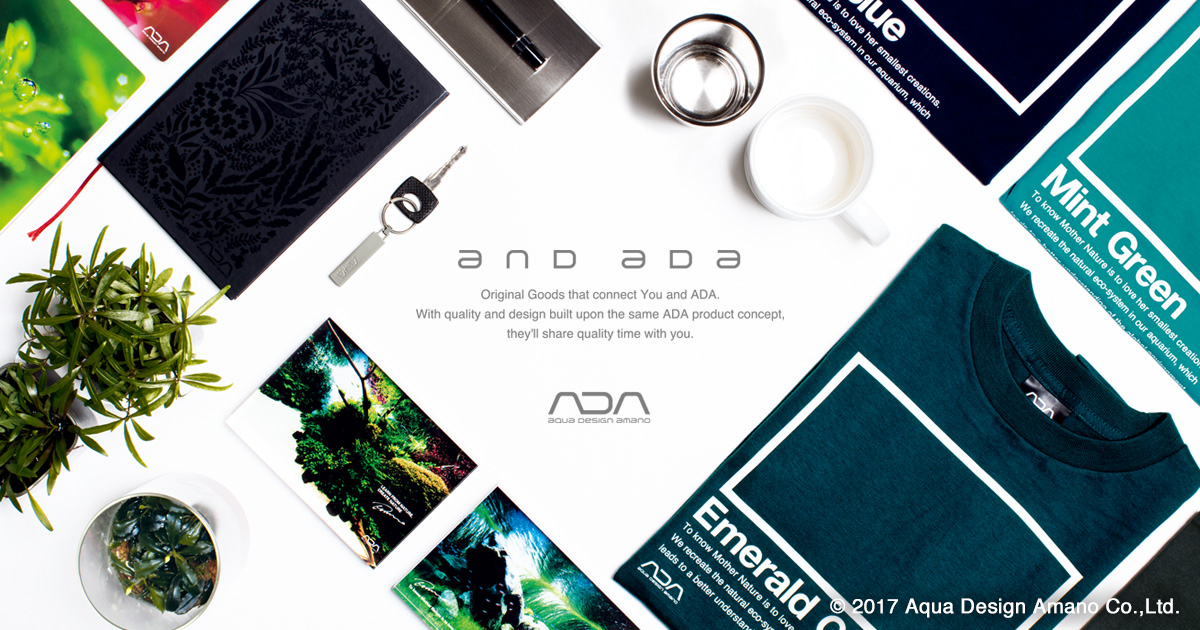 NA DUAL GLASS POT NAデュアルグラスポット | and ADA