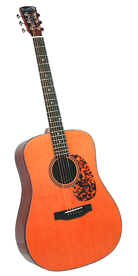 ブルーリッジ・ギター【日本総代理店】 Blueridge JAPAN