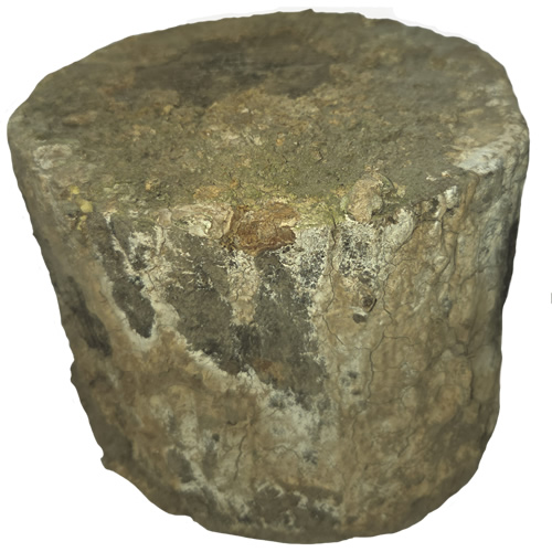 NEW☆土埋めレイシ産卵材