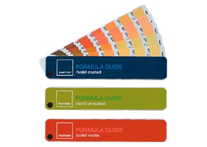 PANTONE Formula Guide Designer-Edition パントン フォーミュラガイド