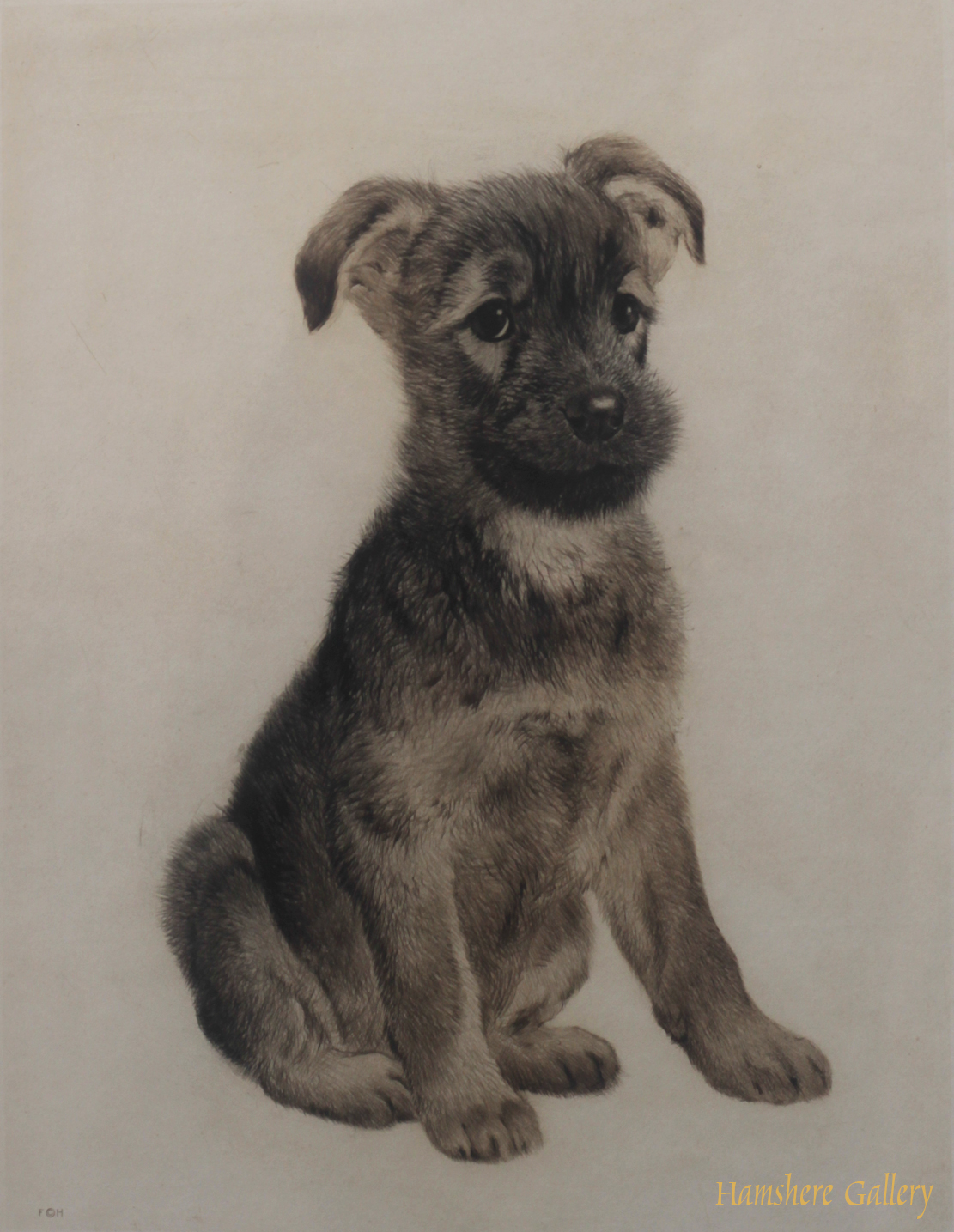 Category Individual - Hamshere Gallery - Specialists in Canine