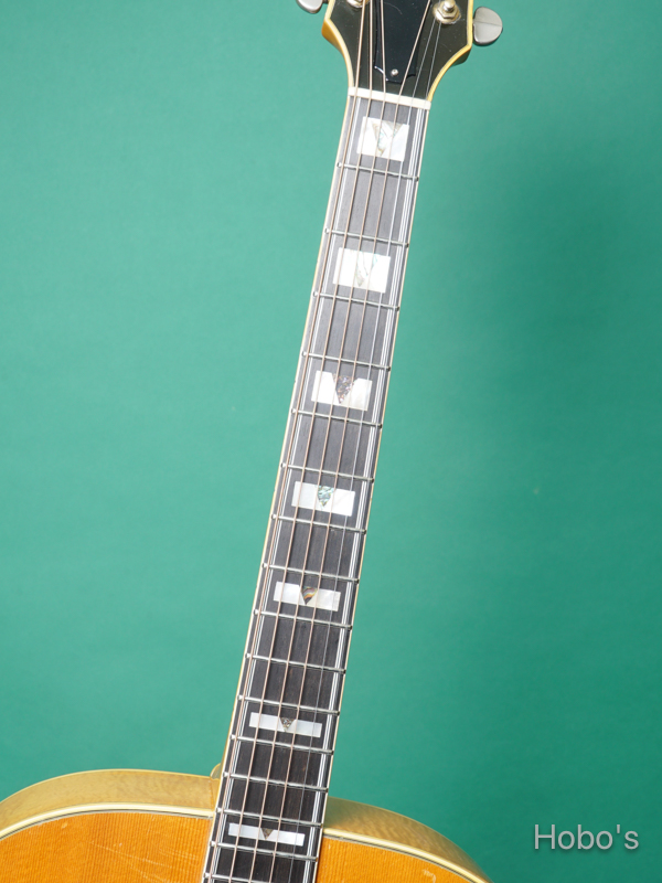 在庫情報/GUILD F-50 | Hobo's