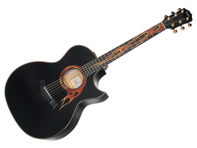 Taylor Hot Rod Hotei Signature Model 布袋寅泰 シグネイチャーモデル