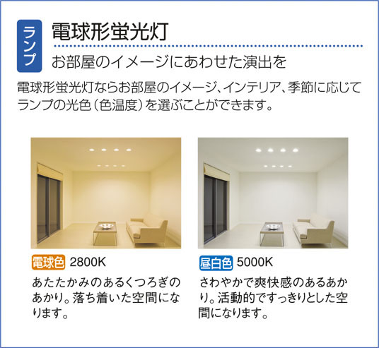 DAIKO 大光電機 シーリングファン インテリアファン DCH-36595L | 商品