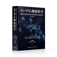 MEDSi メディカル・サイエンス・インターナショナル