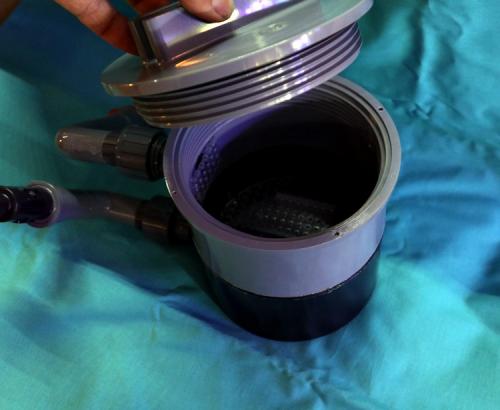 世界のとれたて海水魚(通信販売)の日海-web.com<日海センター