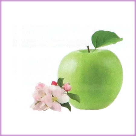 ランプベルジェ アロマオイル【青りんご】お試し100ml【A1501】 お試し