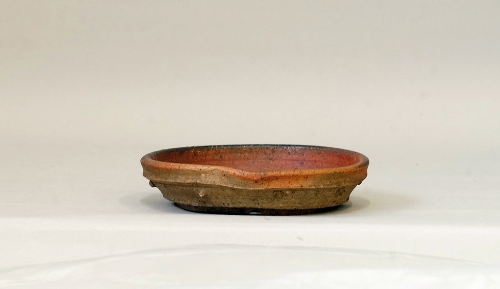 盆栽鉢ストアゆきもの｜盆栽鉢｜陶滋｜鋲打ち浅丸鉢