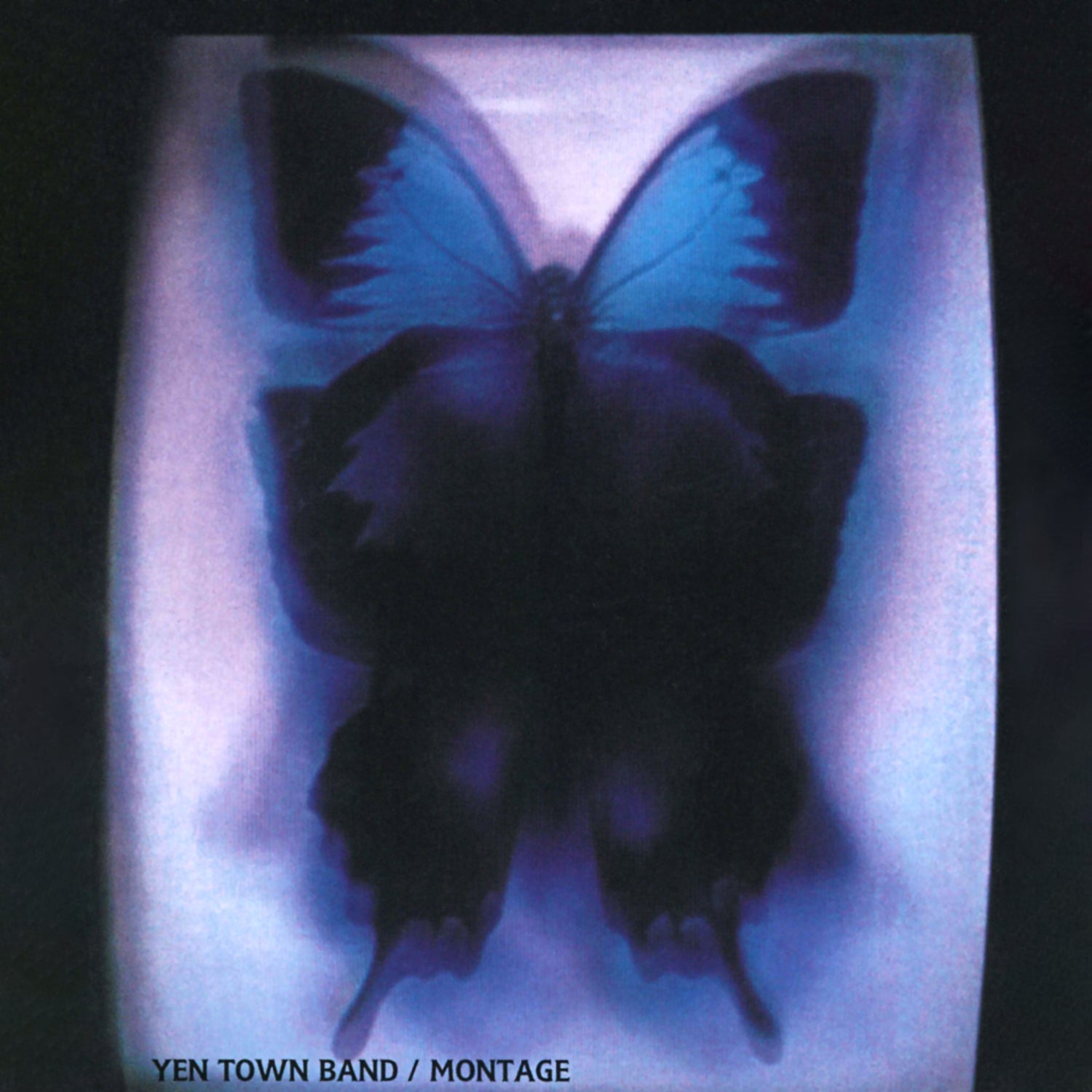 YEN TOWN BAND「MONTAGE」[CD] – 円都市場