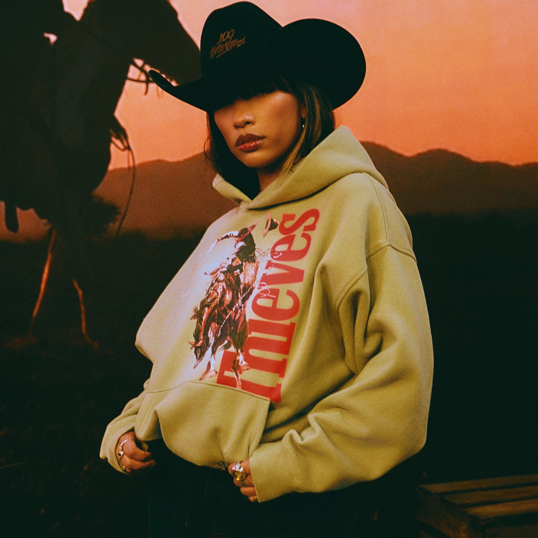 All Apparel - 100 Thieves