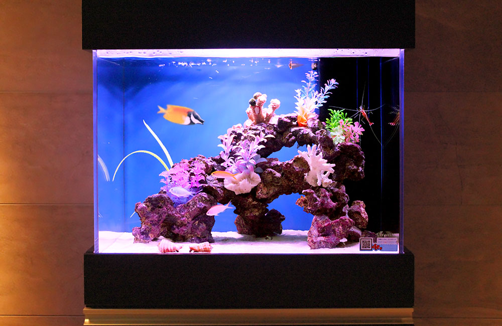 サンゴ ZOOX レブロン90 美品 ハイスペック照明 ZOOX REVLON 水槽用