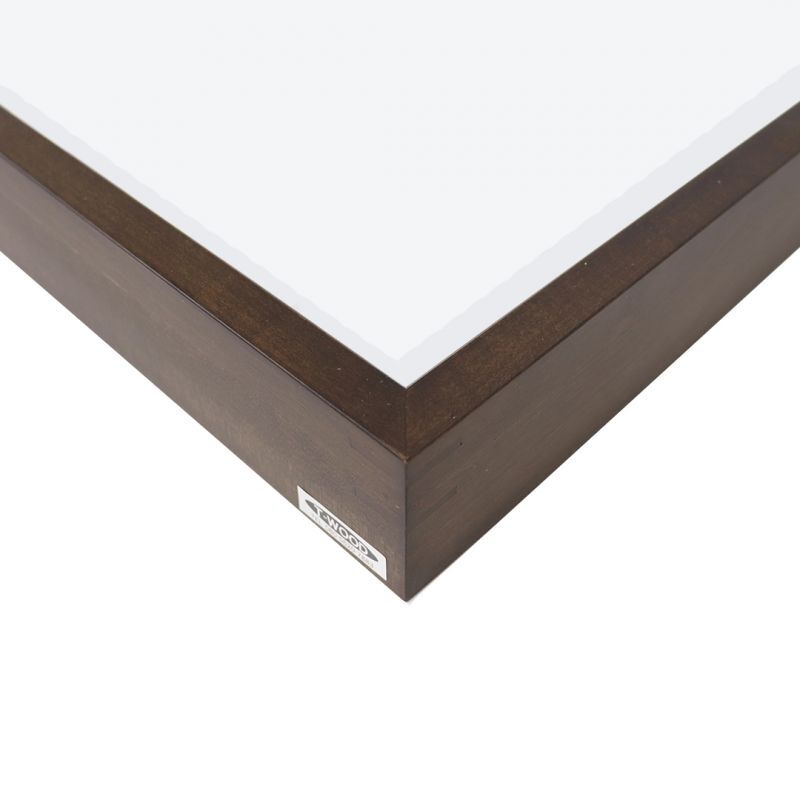 標本箱 T-WOOD 新品 未使用 幅500mm+x高410mm+x厚60mm位 標本箱 最高 T