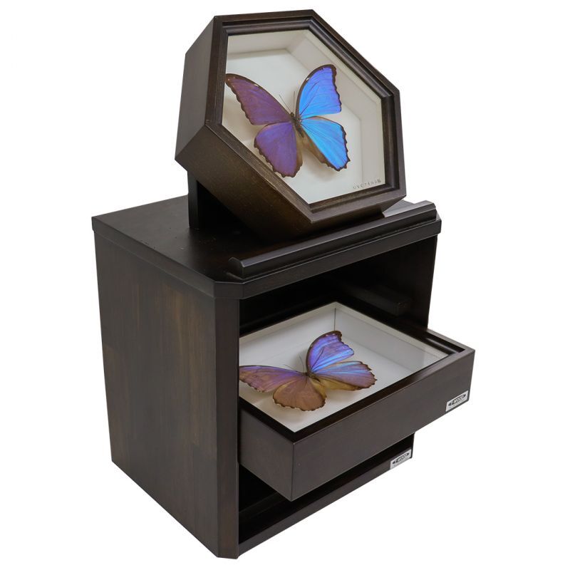 ドイツ箱小箱用収納棚 小箱の整理整頓に最適☆