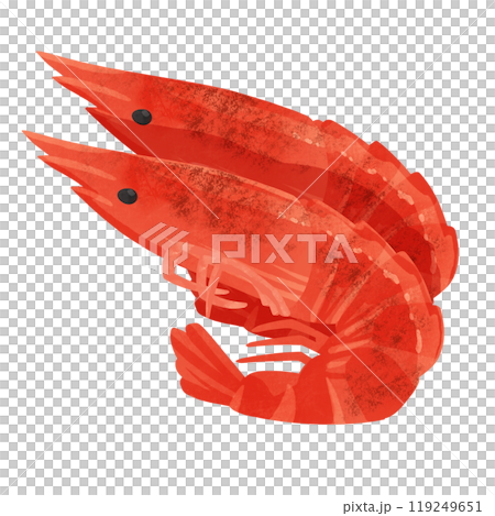 焼き海老 水彩風手描きイラストのイラスト素材 [119249651] - PIXTA