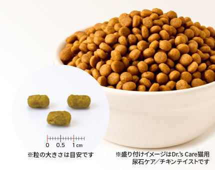 ドクターズケア】〈猫用〉キドニーケア（チキンテイスト）