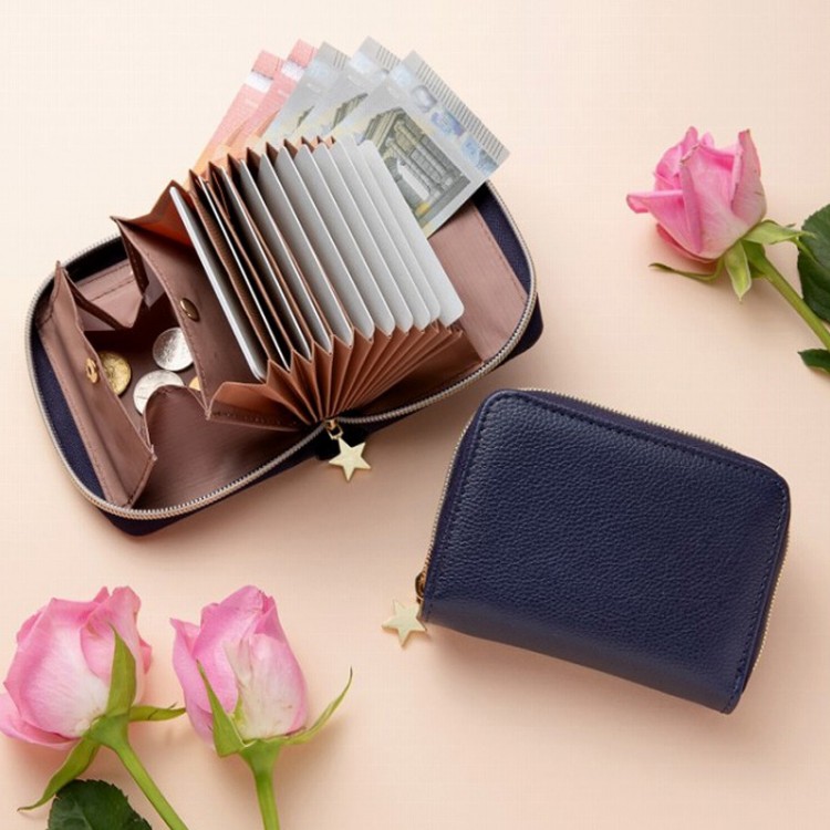 金運師たかみー監修 お金を呼び込む 金運上昇ミニ財布BOOK│宝島社の