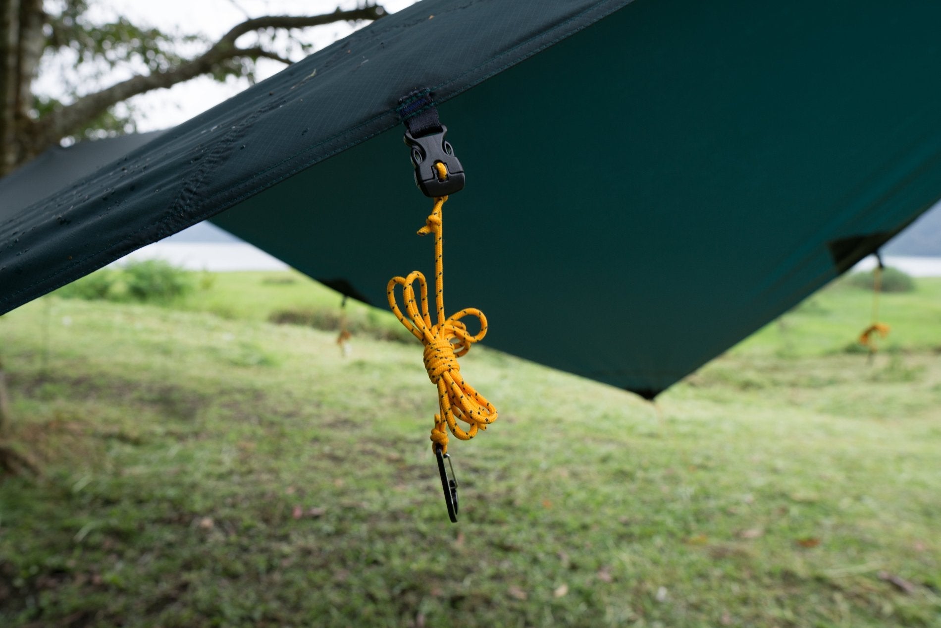 TARP | TICKET TO THE MOON