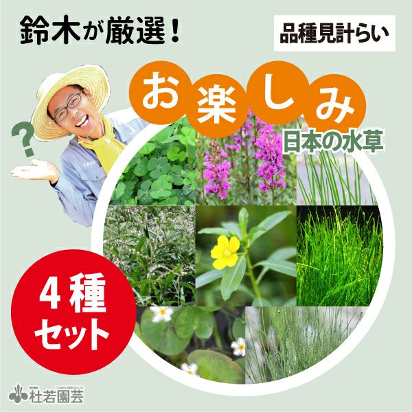 000000003828-01.jpg?size=l&w=