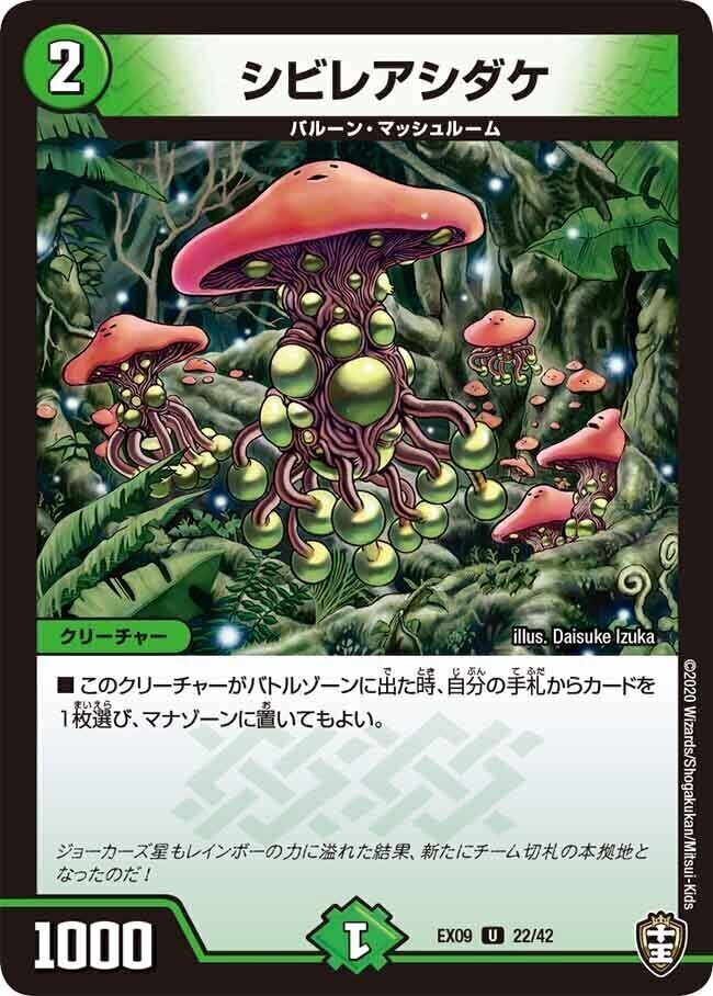 シビレアシダケ [DMEX09 22/42] | トレカカク～デュエマ価格サイト～