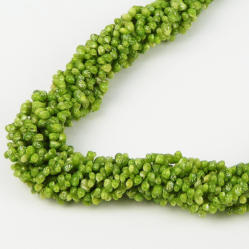 フラダンス用緑色レイ まるさん専用 57.jpg