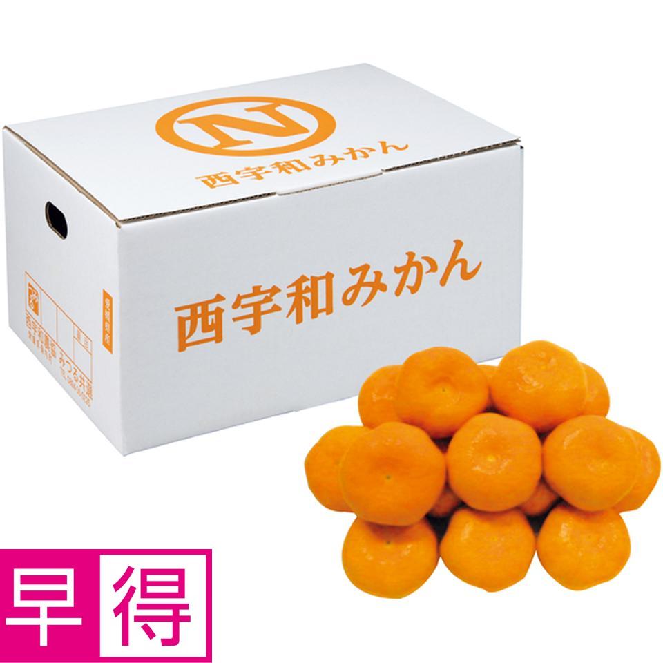 楽天市場】【冬の贈りもの早得】愛媛県産（JA西宇和みつる共選