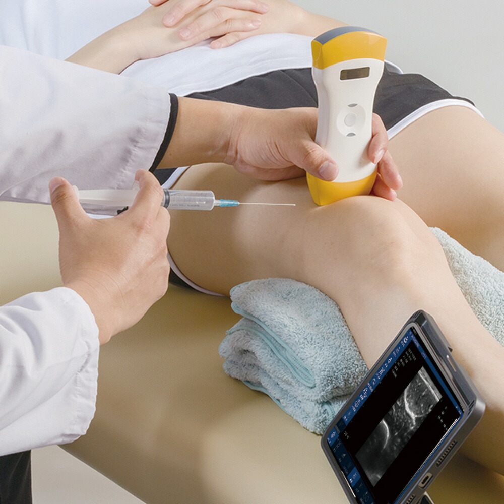 楽天市場】【法人様専用】ポケットエコーmiruco CL5 589200 日本シグ