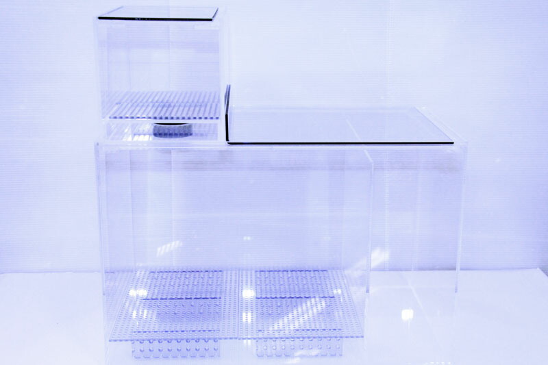 楽天市場】25×15×15ウールボックス : 熱帯魚のmishima 楽天市場店