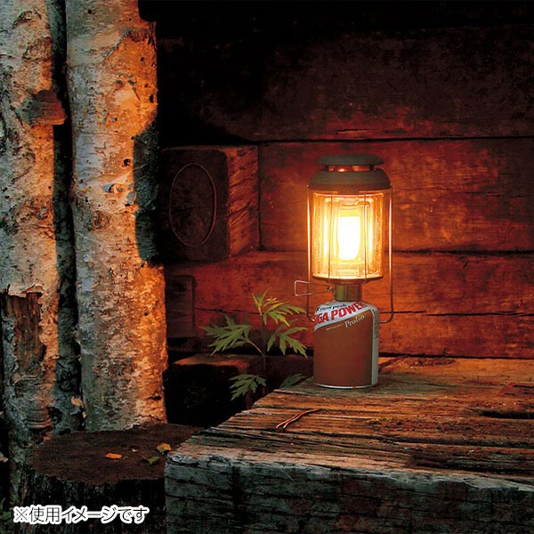 楽天市場】【1日は！枚数限定 最大1,000円OFFクーポン】スノーピーク