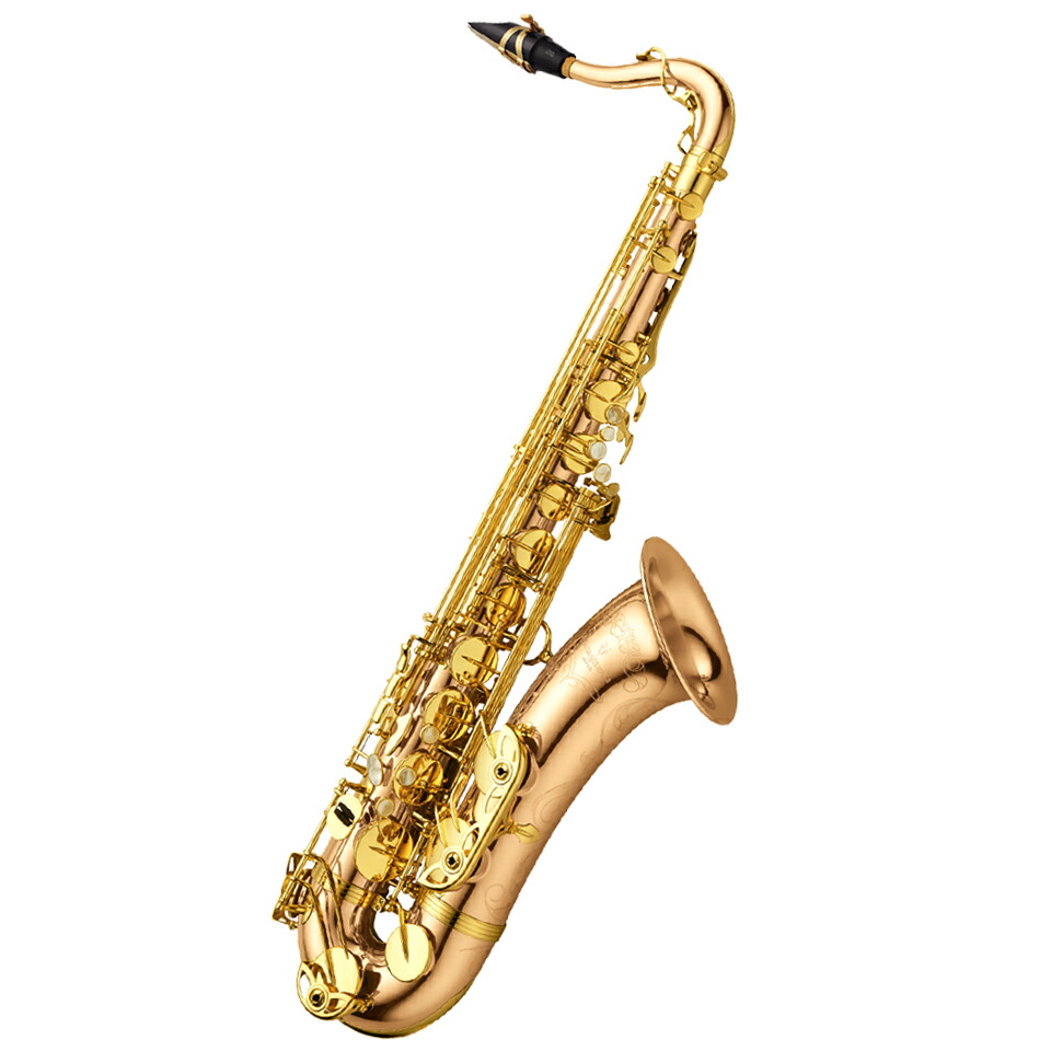 ヤナギサワ テナーサックス」の人気商品一覧 | 安い商品を通販サイト