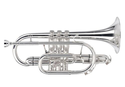 楽天市場】ベッソン コルネットの通販