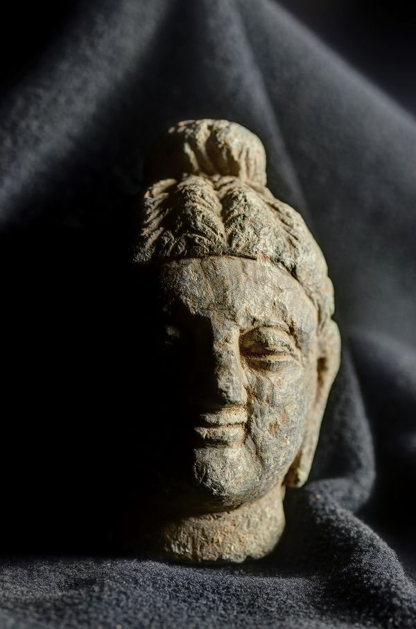 楽天市場】ガンダーラ仏 仏陀頭部 2-4世紀石像 : 仏像仏画チベット美術