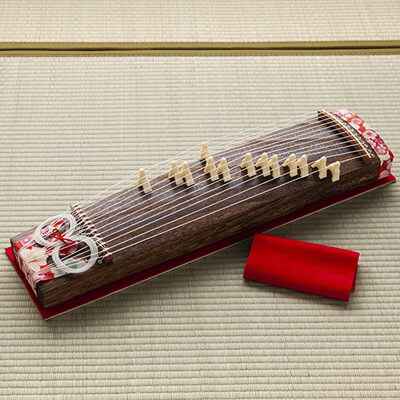 楽天市場】送料無料 観賞用ミニ琴“琴太朗君” 有限会社たましげ 山口県